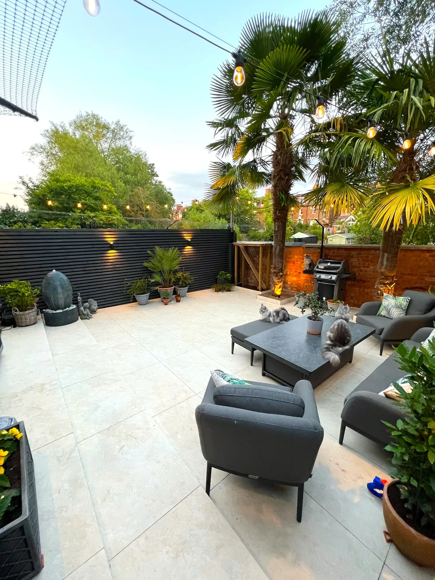 Luxury patio with palm trees and lounge furniture