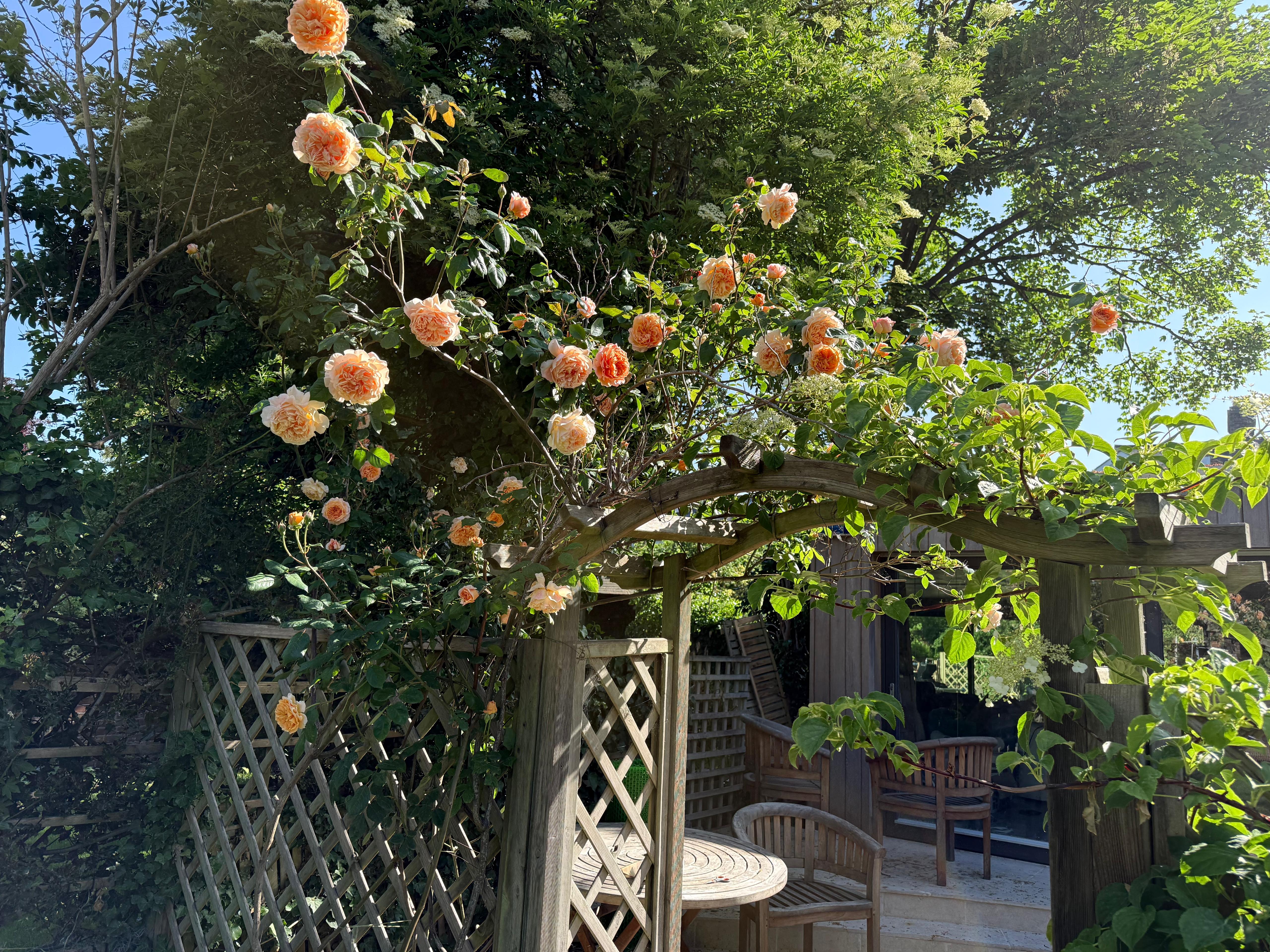 Townhouse Garden Retreat detail 8