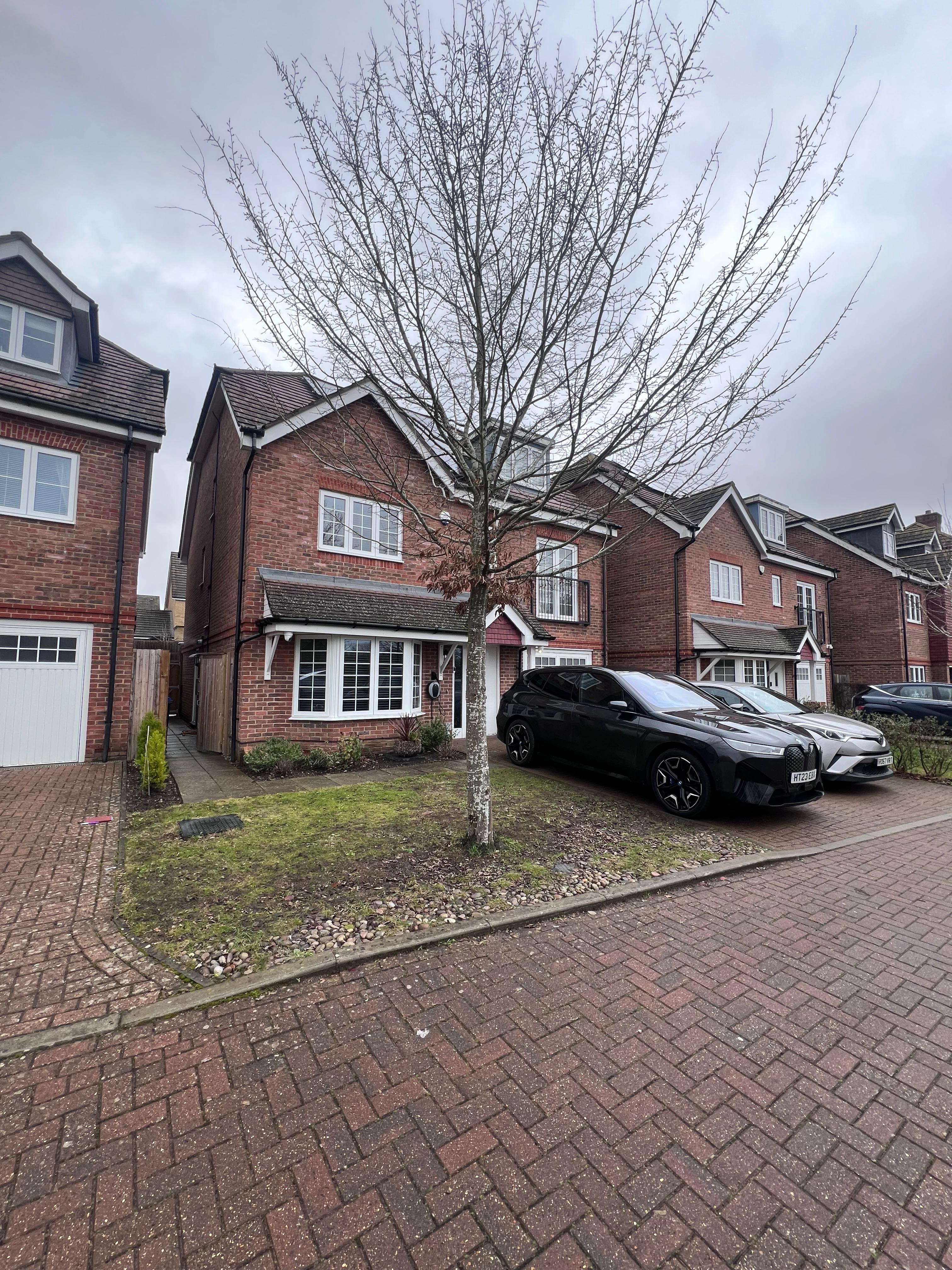 Pergola, Jacuzzi & Front Garden detail 2