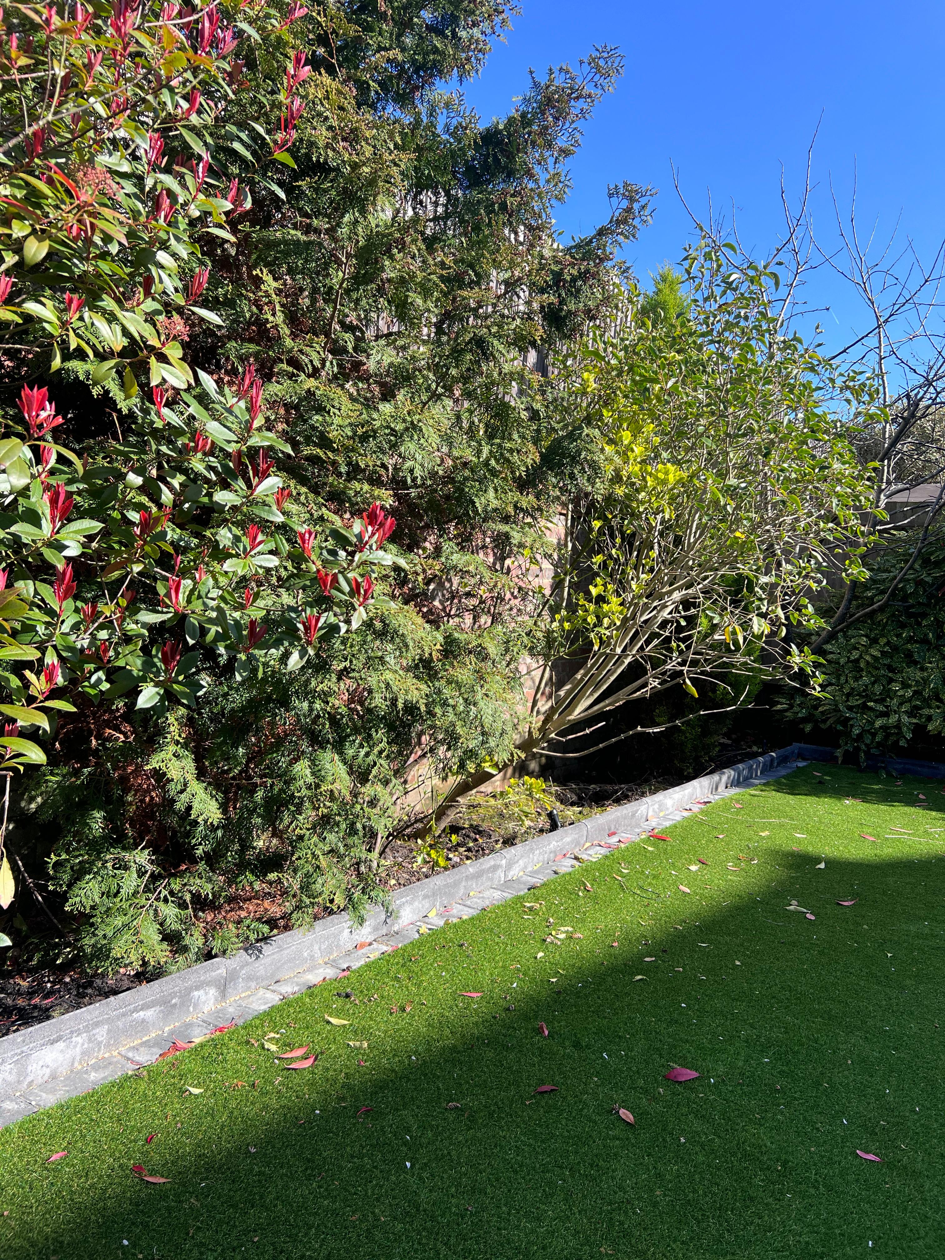 Pergola, Jacuzzi & Front Garden detail 18