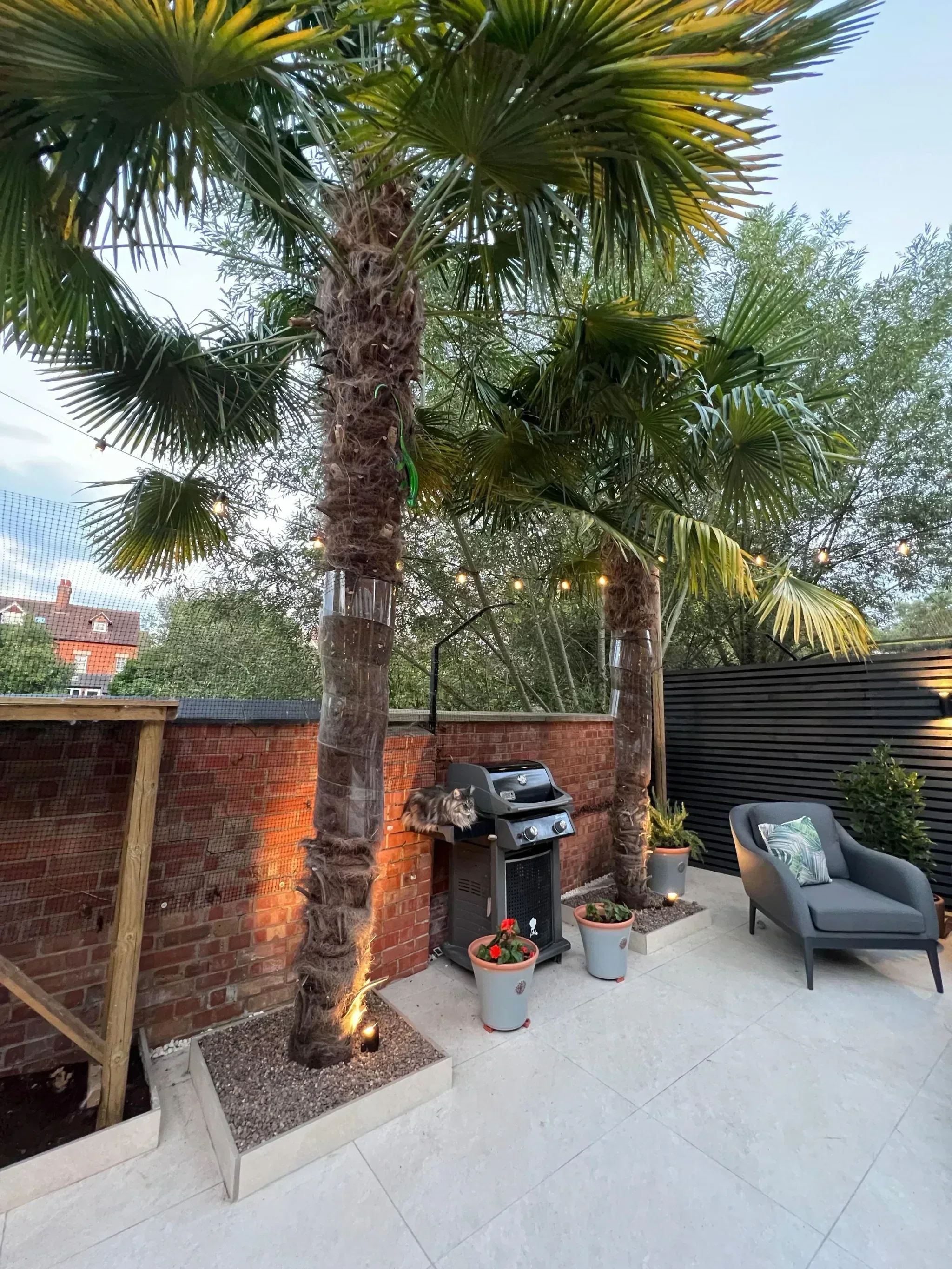 Courtyard Entertaining Space — photo 9