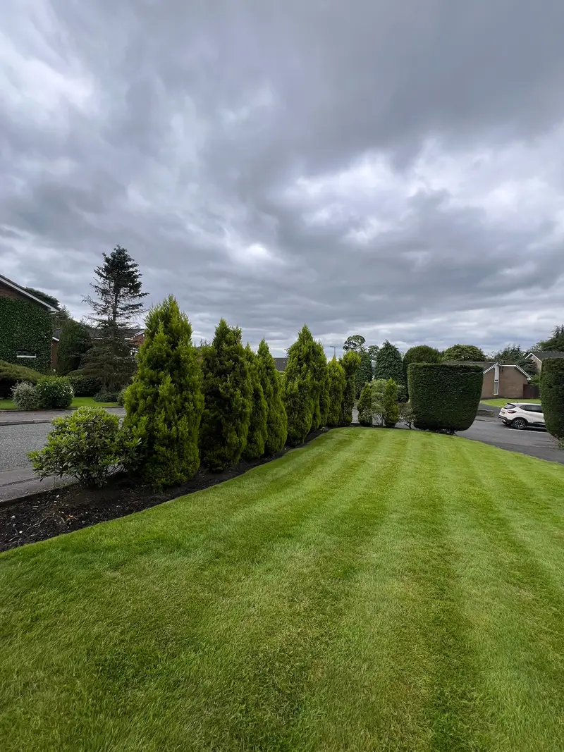 Planting & Soft Landscaping